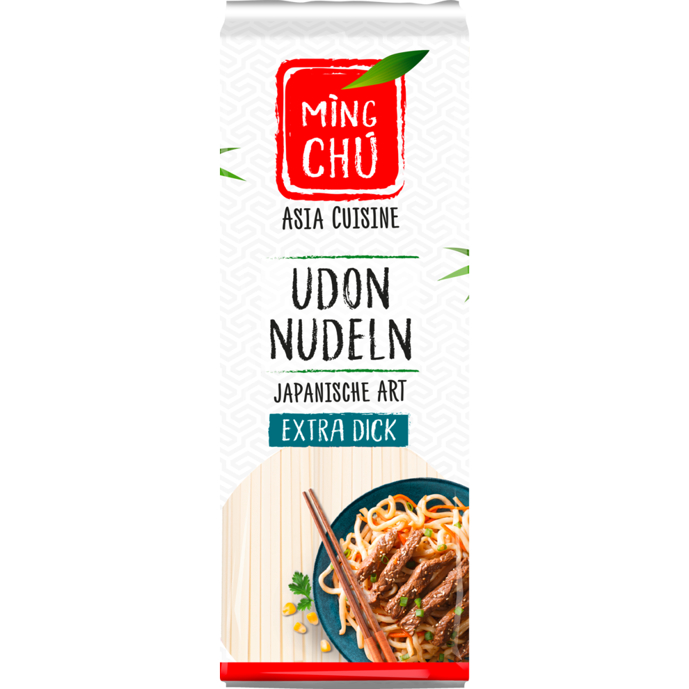 Udon Nudeln