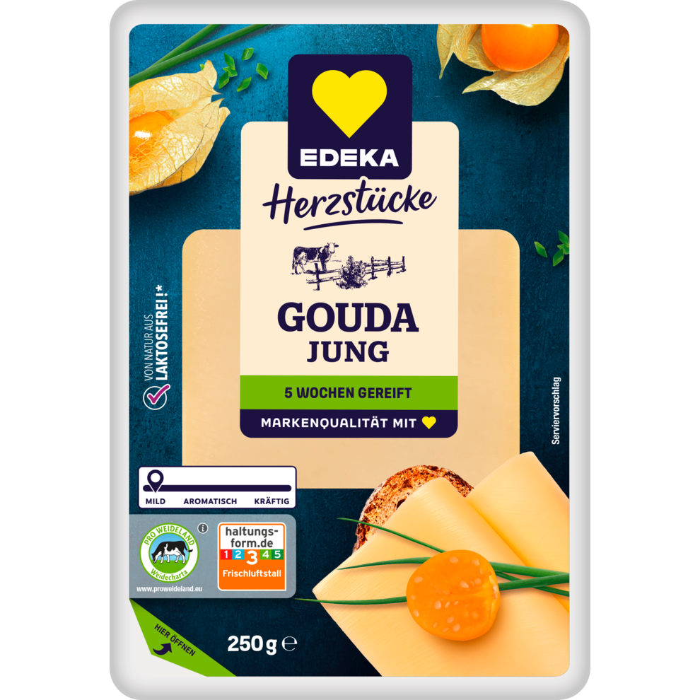 Gouda in Scheiben 48% Fett i. Tr.