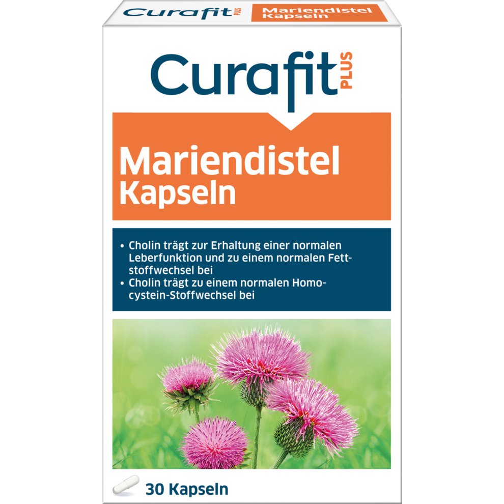Mariendistel Kapseln